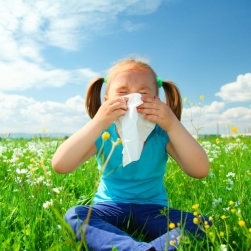 Пик весеннего сезона аллергии в центральной России придётся на майские праздники